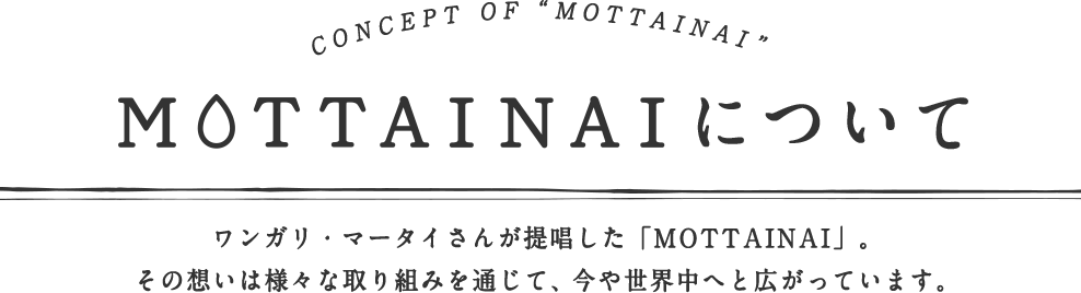 MOTTAINAIについて