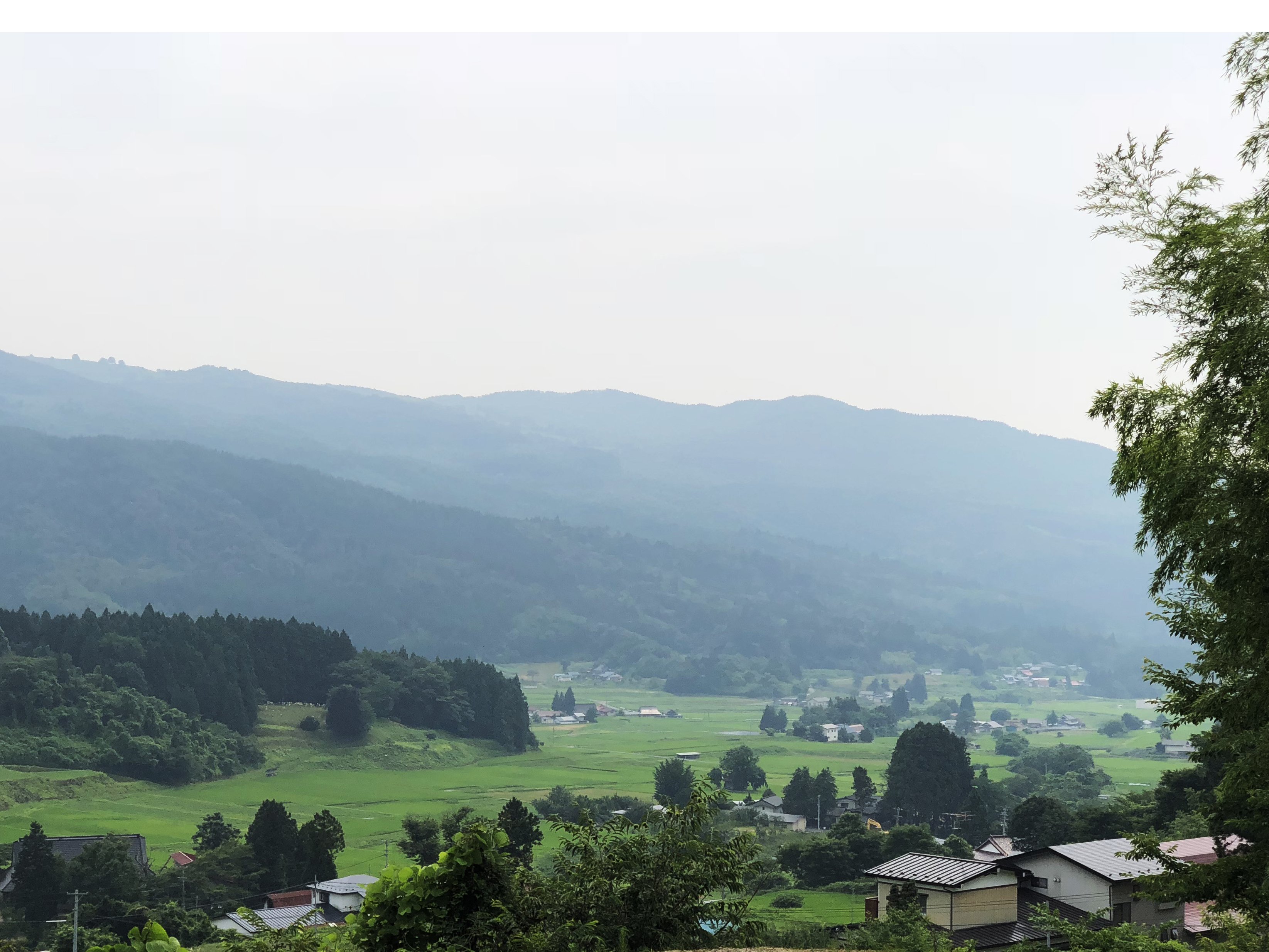 oshu_2a.jpg