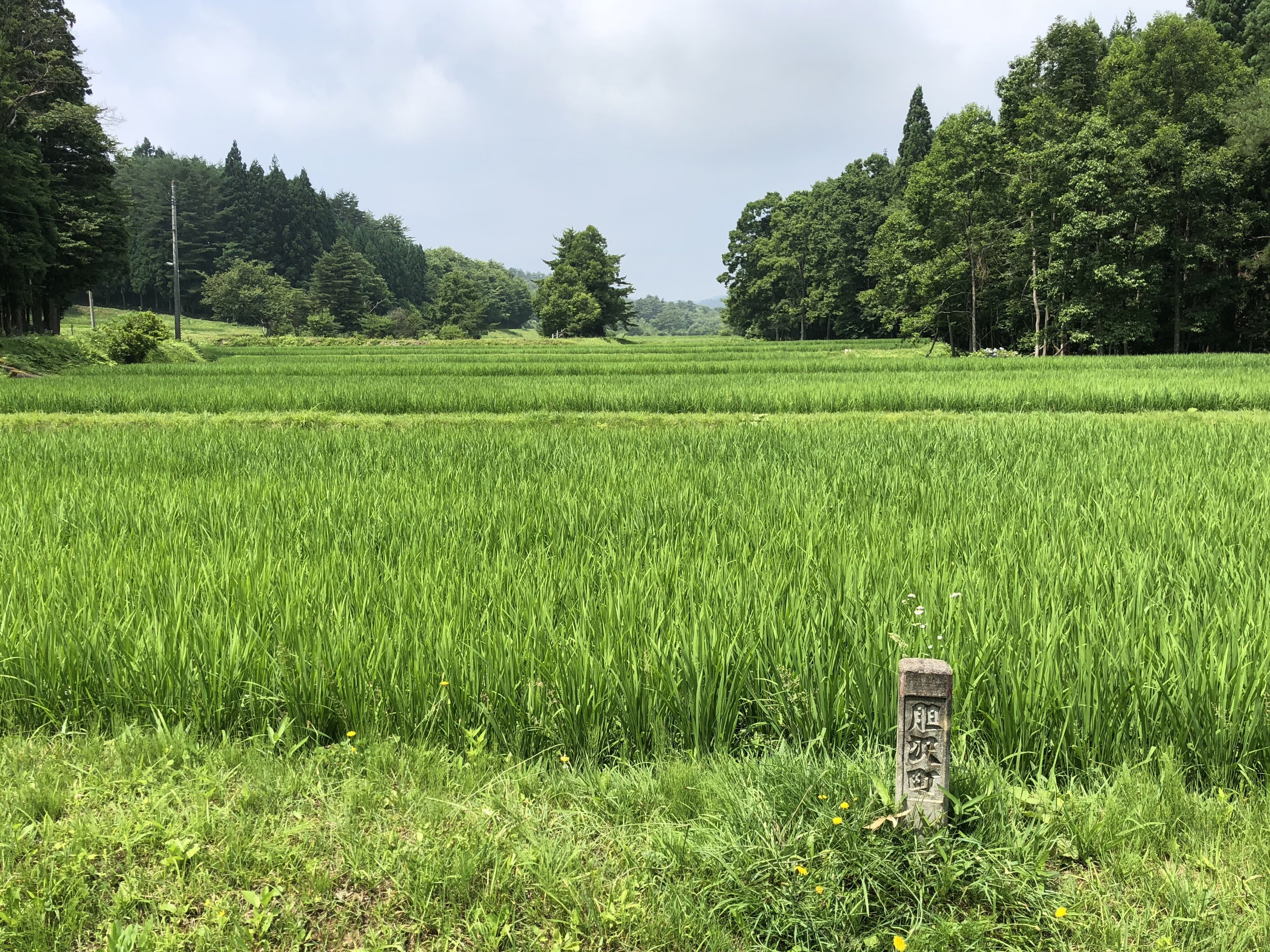 oshu_5.jpg